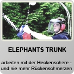 ALITEC | Elephants Trunk